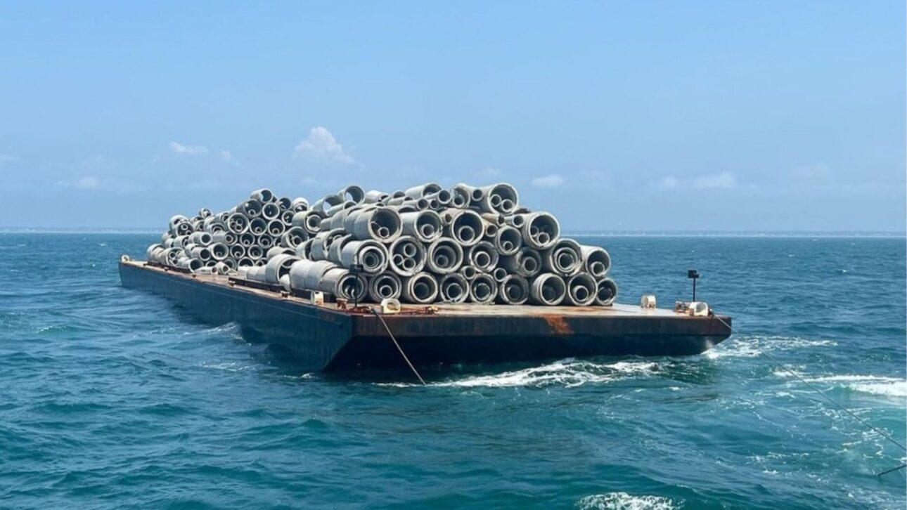 Phát hiện 68 sà lan đã đổ 80.000 tấn bê tông từ một cây cầu bị phá hủy xuống đáy biển, tạo nên cả một hệ sinh thái đặc biệt dưới đại dương- Ảnh 2.