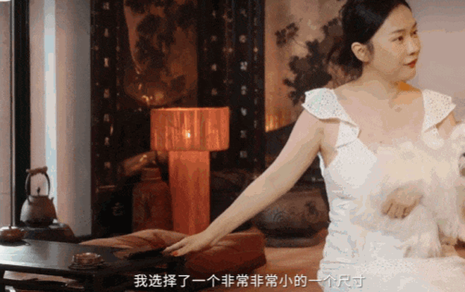 Phú bà showbiz có chồng lên TikTok "thả thính" hot girl: Xây biệt phủ 20.000m2, chi tiền tỷ nuôi chim công và hơn chục chú chó trong nhà- Ảnh 8.
