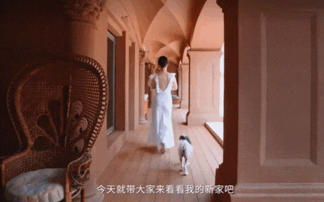 Phú bà showbiz có chồng lên TikTok "thả thính" hot girl: Xây biệt phủ 20.000m2, chi tiền tỷ nuôi chim công và hơn chục chú chó trong nhà- Ảnh 7.