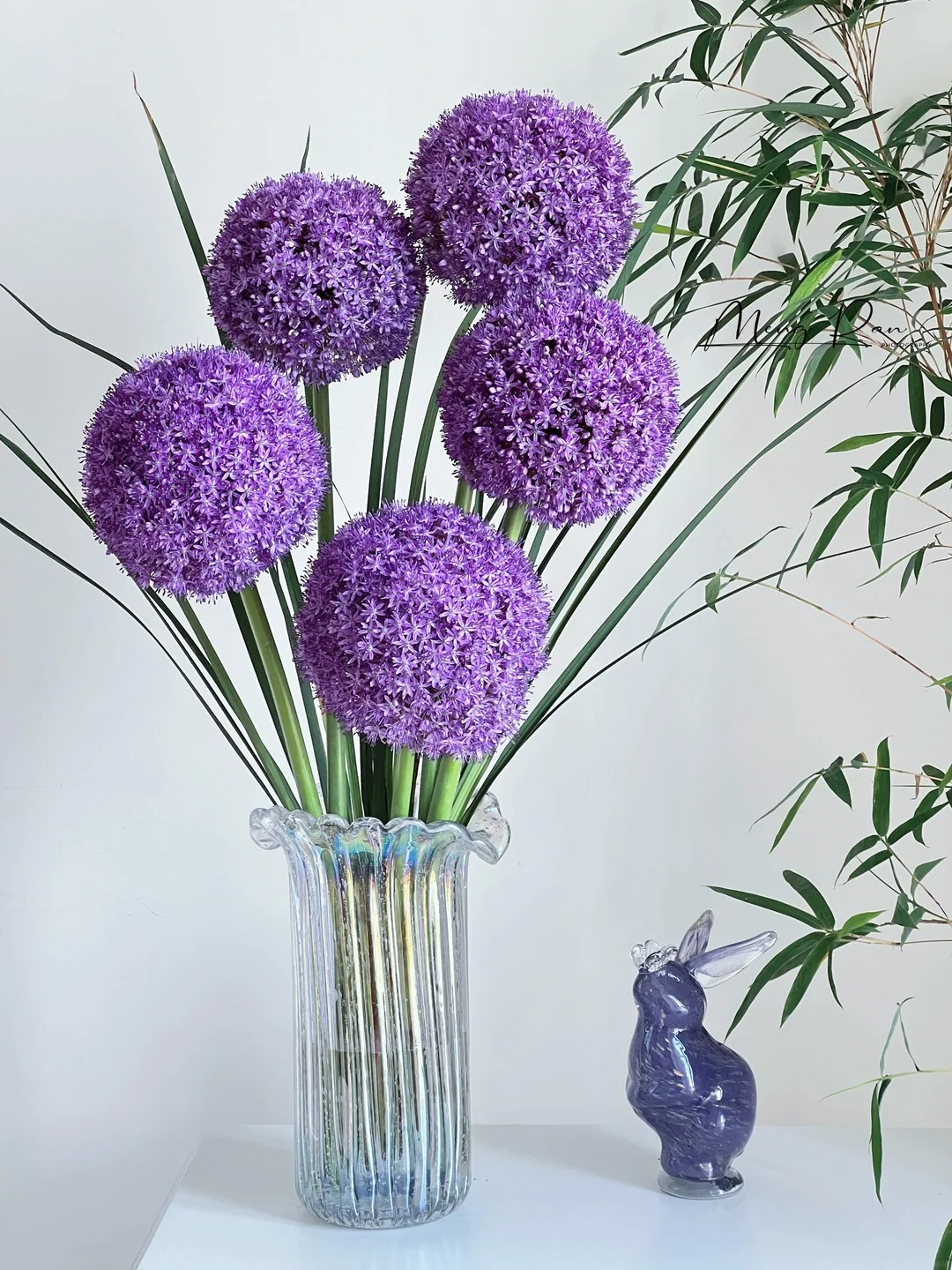 Mê mẩn với hoa Allium: Kẹo mút tím khổng lồ trong nghệ thuật cắm hoa 2026 - Ảnh 22.