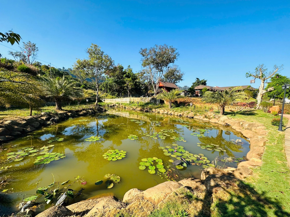 Nam nghệ sĩ Việt cưới vợ đại gia: Xây biệt phủ trên khu đất 10.000m², góc nào cũng chill quên lối về- Ảnh 4.