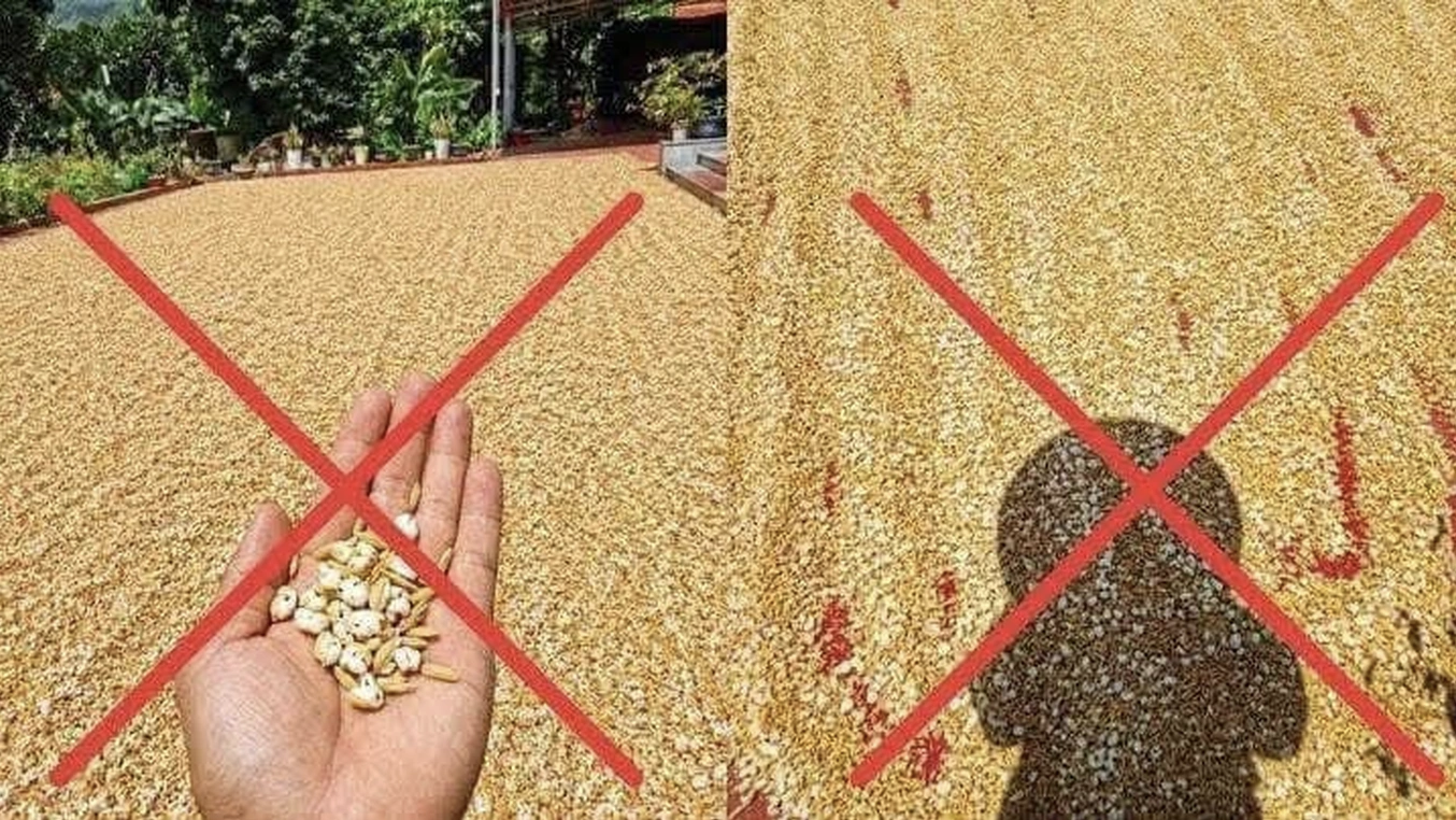 Người đàn ông Hà Nội bị phạt vì đăng tin sai sự thật về thóc phơi ngòai trời - Ảnh 1.