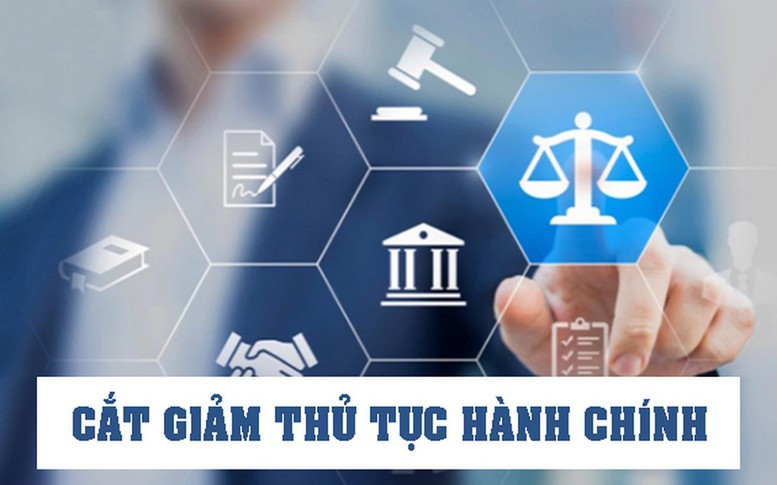 Quy chế làm việc của Chính phủ- Ảnh 6.