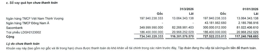 Ngân hàng siết nợ hơn 500 thửa đất tại một dự án của LDG - Ảnh 1.