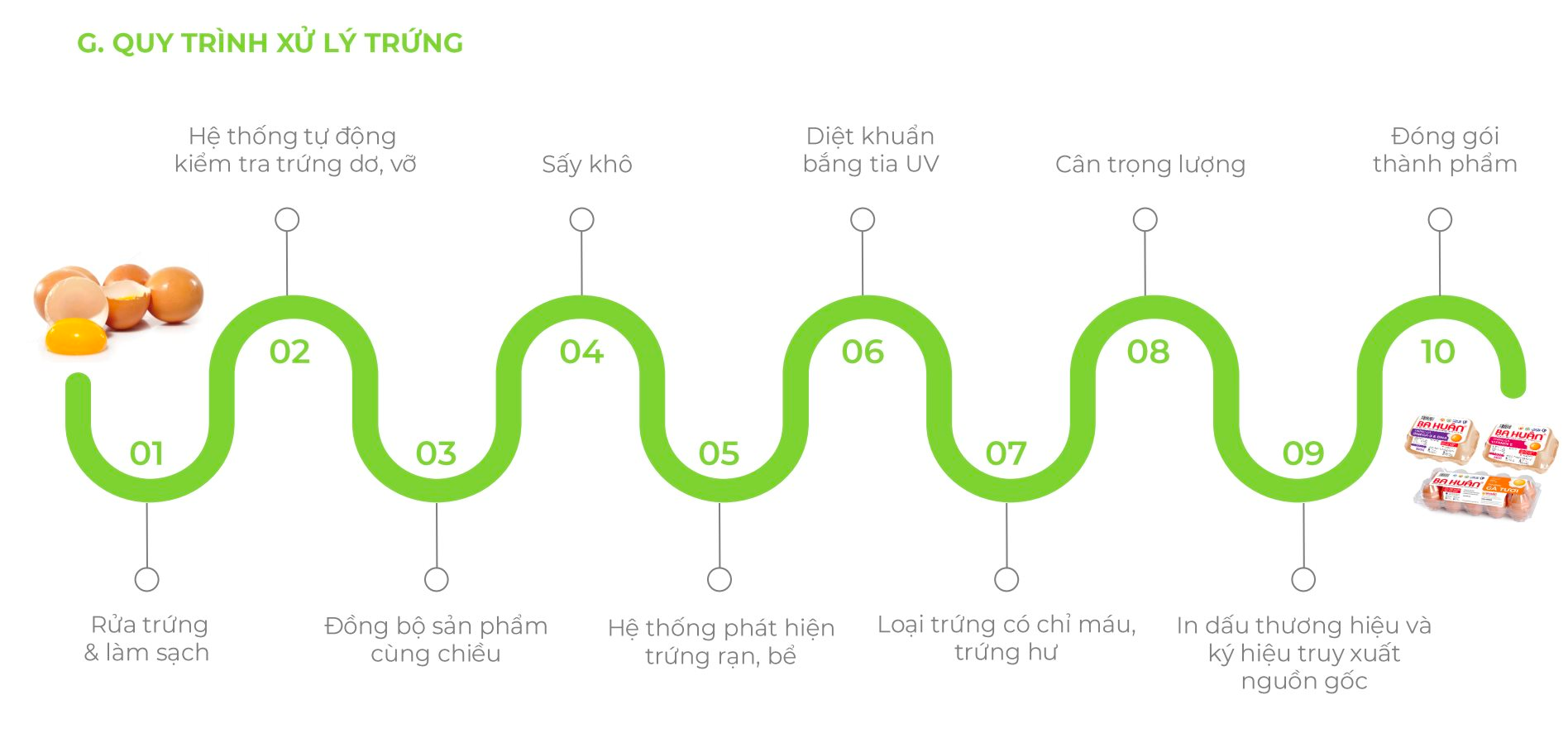 Bên trong dây chuyền sản xuất 250.000 quả trứng/giờ của "đế chế trứng hơn 50 tuổi": Rửa trứng bằng nước sạch, soi tia UV- Ảnh 1.