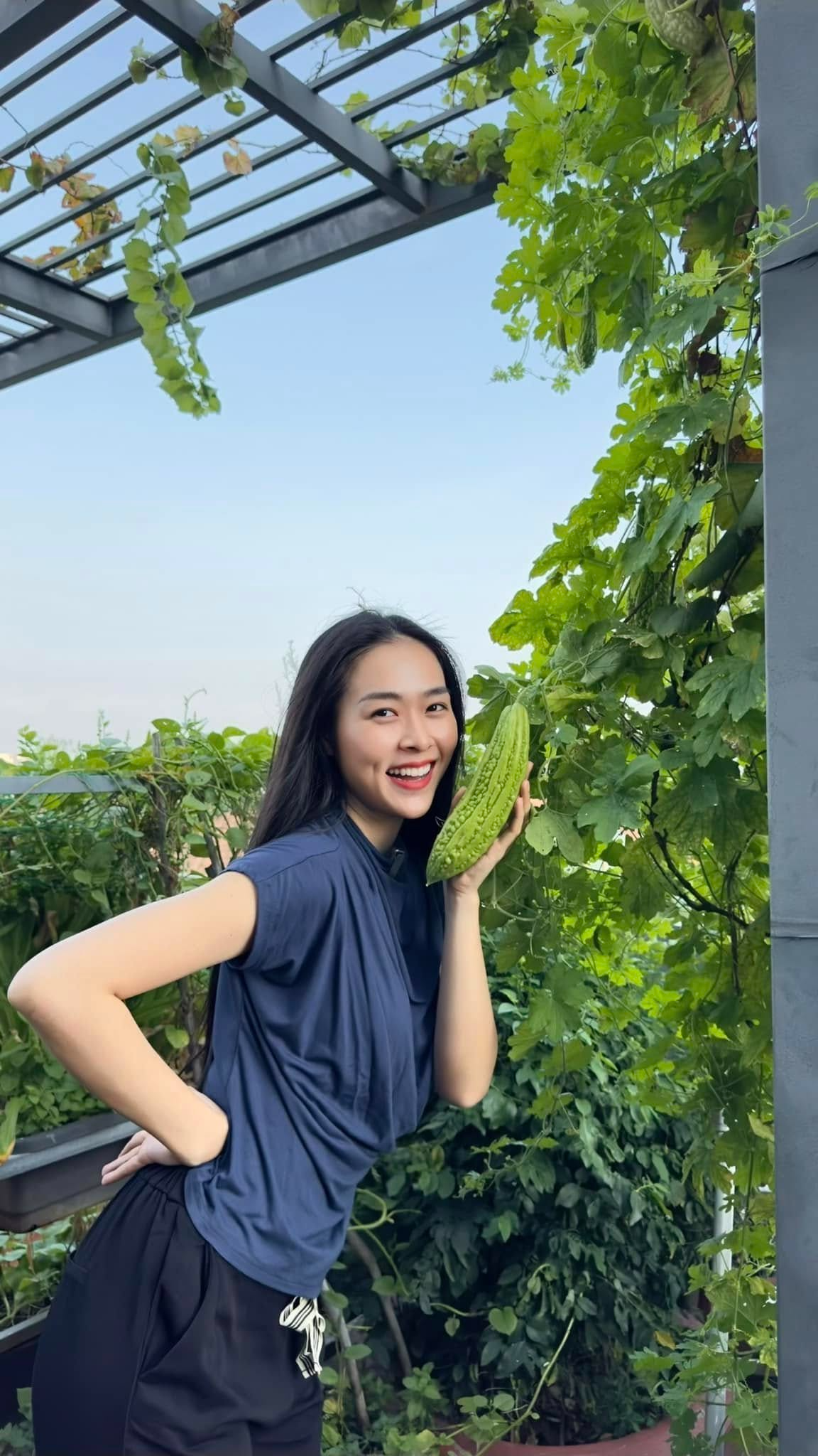 Mỹ nhân Việt làm chủ 3 công ty, sống trong nhà phố 100m2, sân thượng trồng gì mà lúc nào cũng trĩu quả?- Ảnh 5.