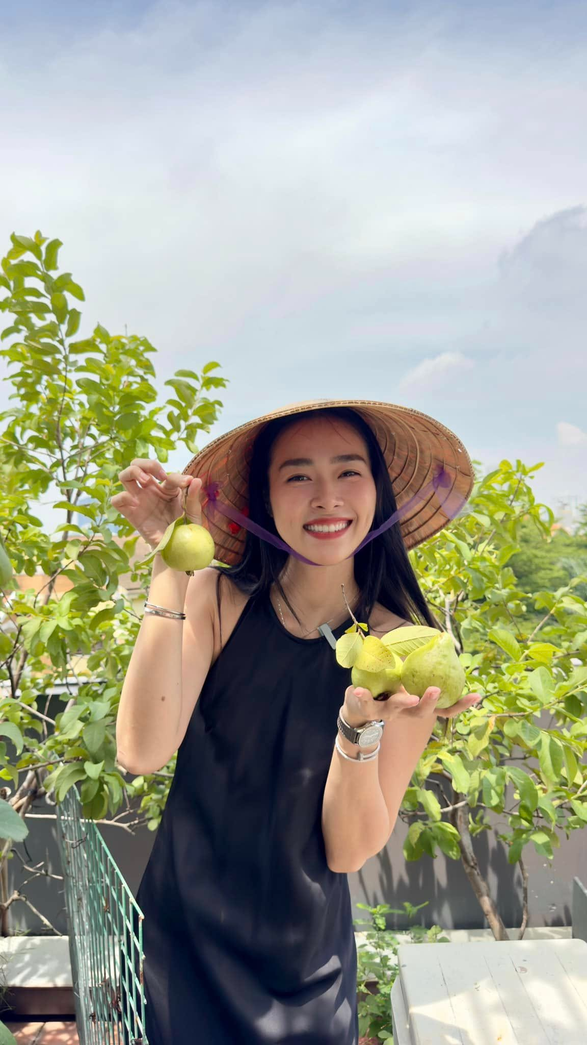 Mỹ nhân Việt làm chủ 3 công ty, sống trong nhà phố 100m2, sân thượng trồng gì mà lúc nào cũng trĩu quả?- Ảnh 3.