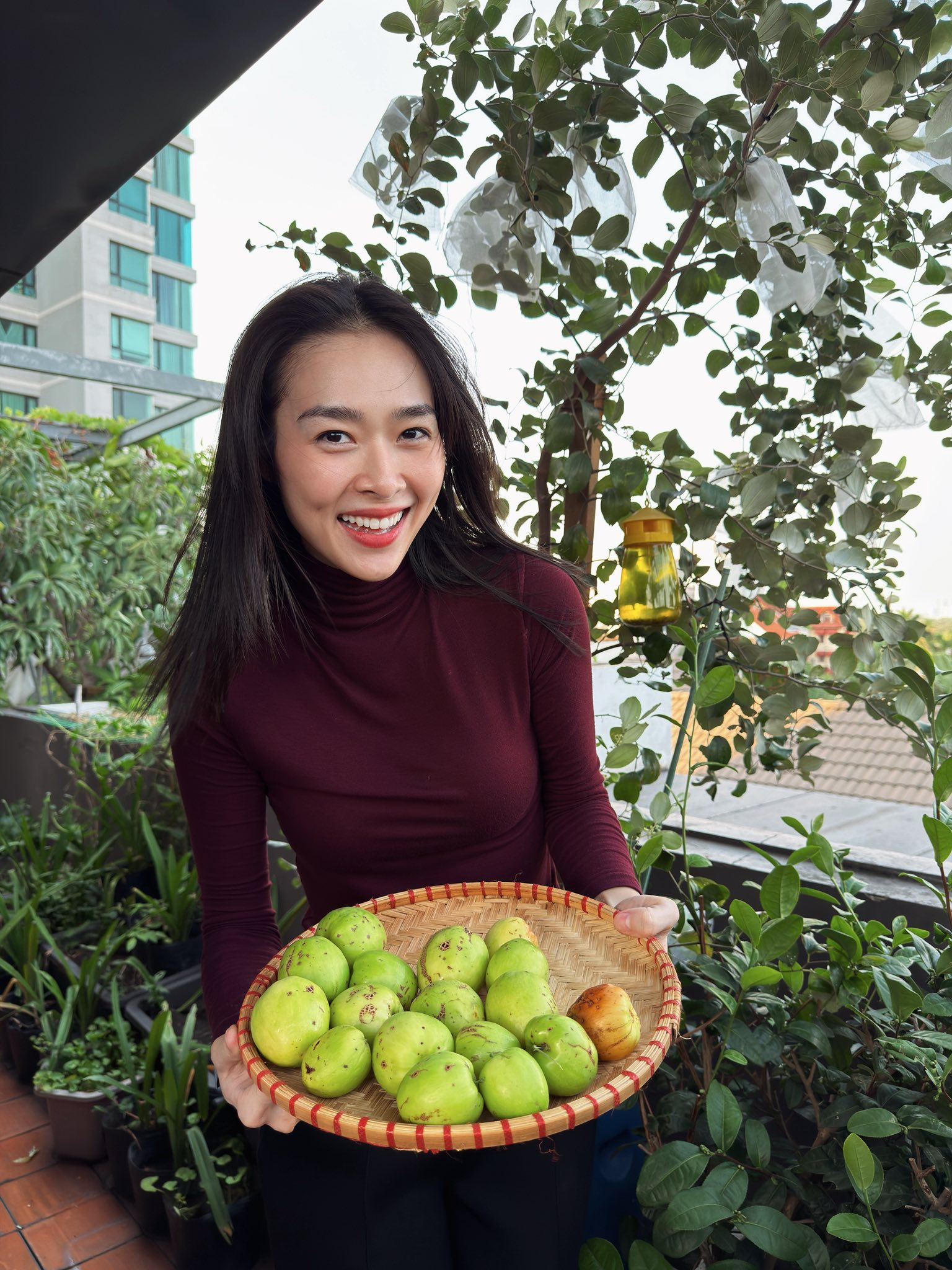 Mỹ nhân Việt làm chủ 3 công ty, sống trong nhà phố 100m2, sân thượng trồng gì mà lúc nào cũng trĩu quả?- Ảnh 2.