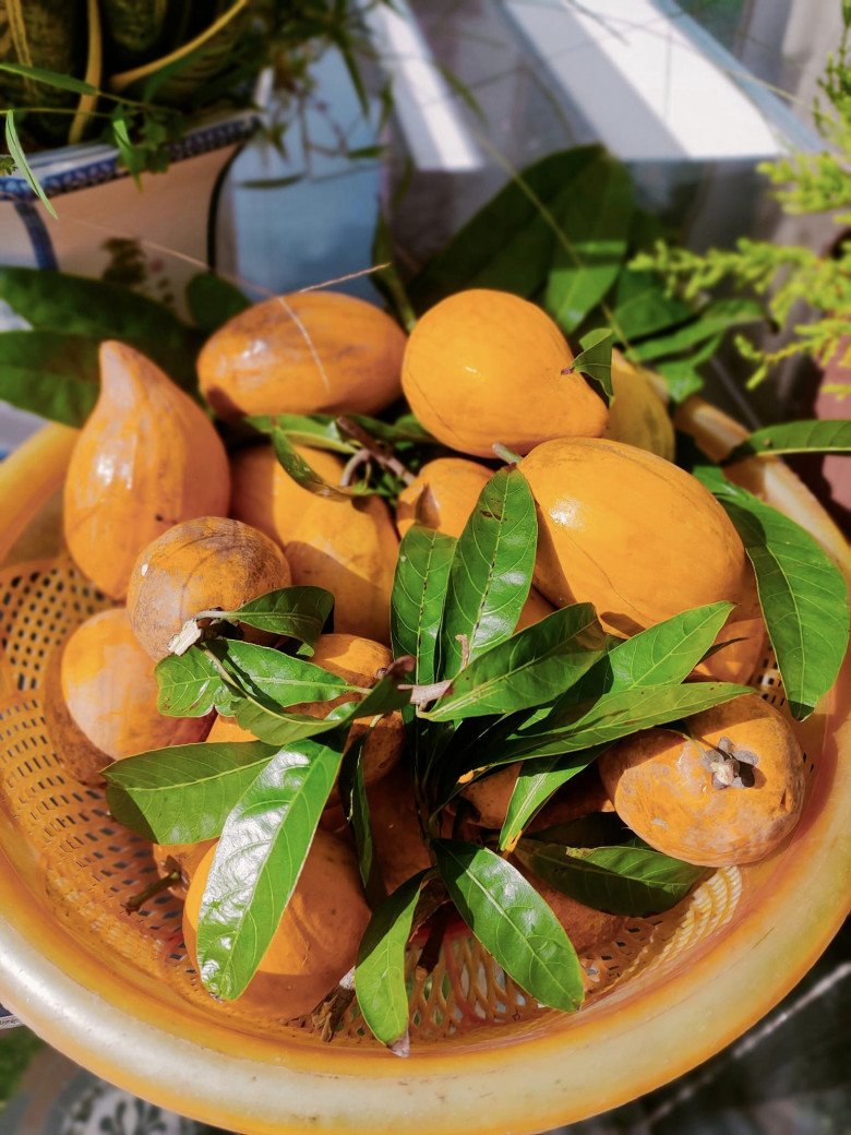 Quả trứng gà rụng đầy gốc ở Việt Nam, sang nước ngoài thành hàng hiếm, bán hơn 1 triệu đồng vẫn có người mua- Ảnh 4.