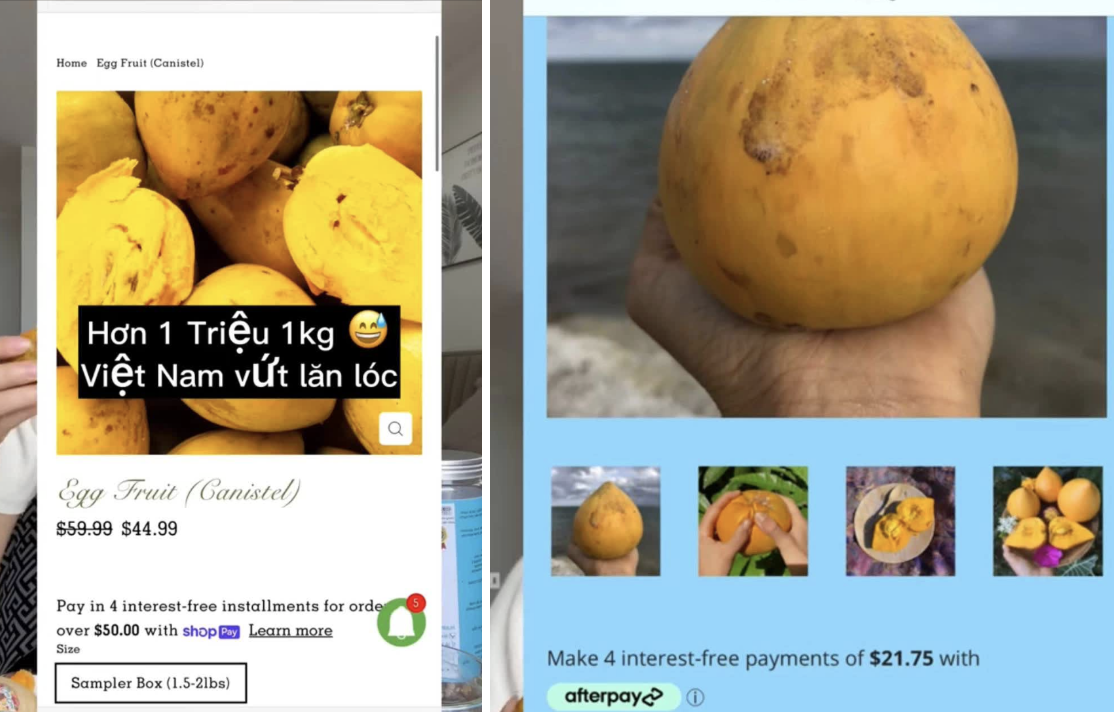Quả trứng gà rụng đầy gốc ở Việt Nam, sang nước ngoài thành hàng hiếm, bán hơn 1 triệu đồng vẫn có người mua- Ảnh 2.