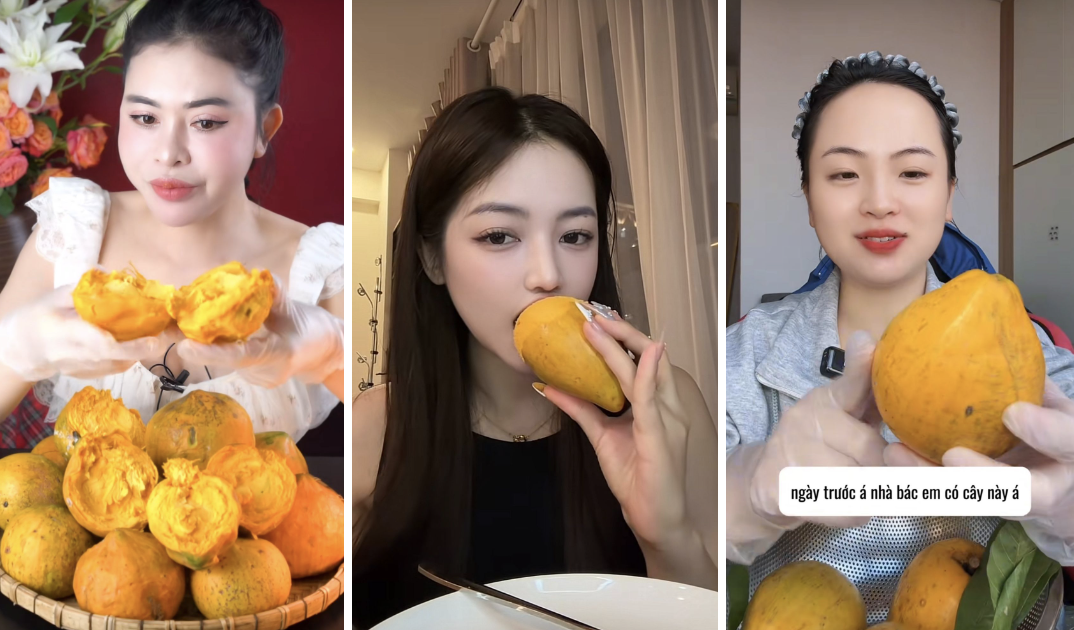 Quả trứng gà rụng đầy gốc ở Việt Nam, sang nước ngoài thành hàng hiếm, bán hơn 1 triệu đồng vẫn có người mua- Ảnh 3.