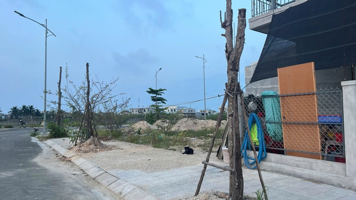 Cây xanh chết hàng loạt tại khu đô thị mới ở TP Huế: Chủ đầu ra "biện pháp mạnh"- Ảnh 1.