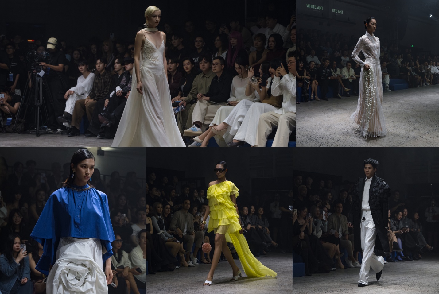 Rue Miche Annual Runway 2026 - PULSE chính thức diễn ra - Ảnh 1.