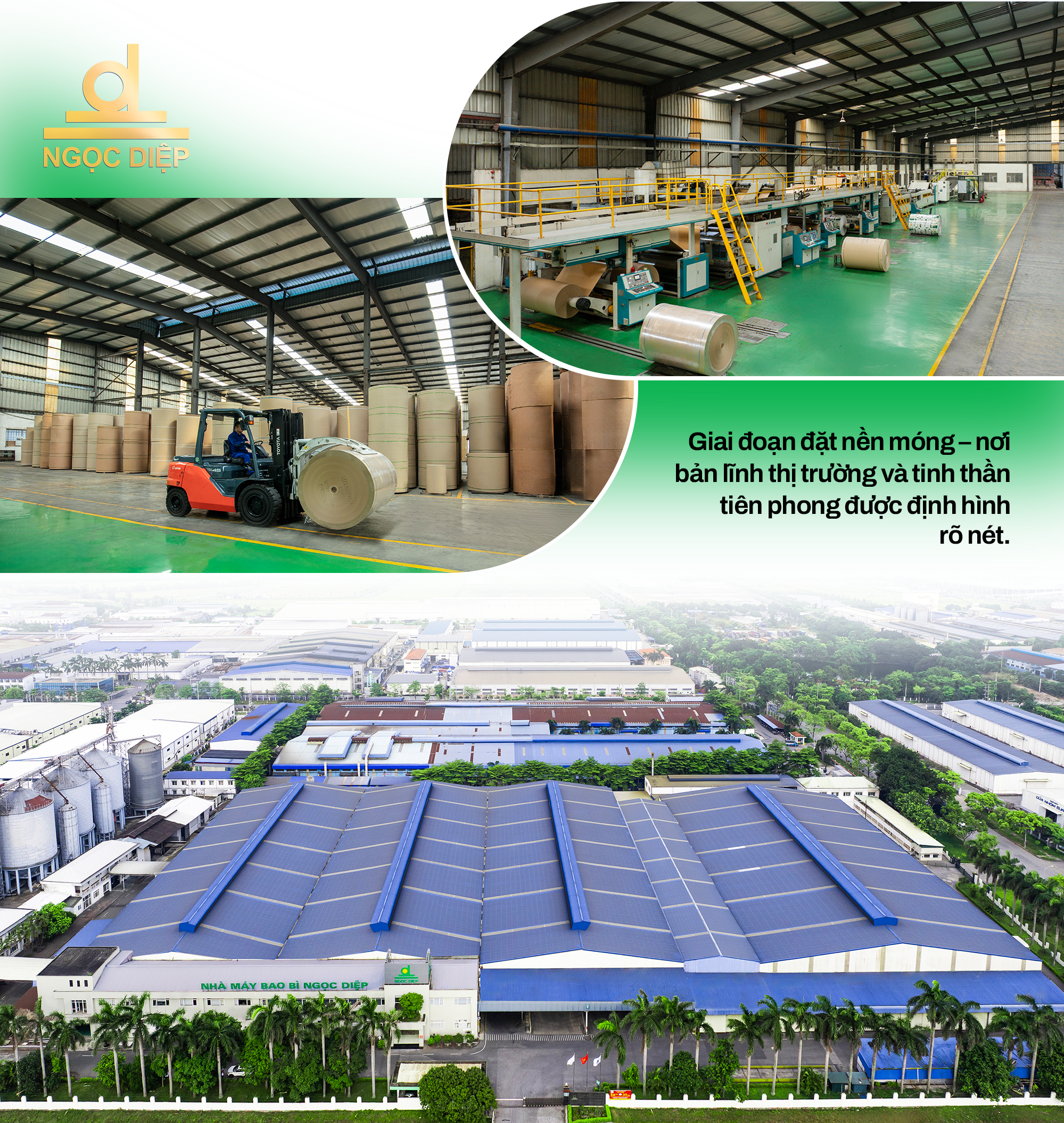 Tập đoàn Ngọc Diệp: Hành trình 30 năm phát triển bền vững, kiến tạo vị thế- Ảnh 4.