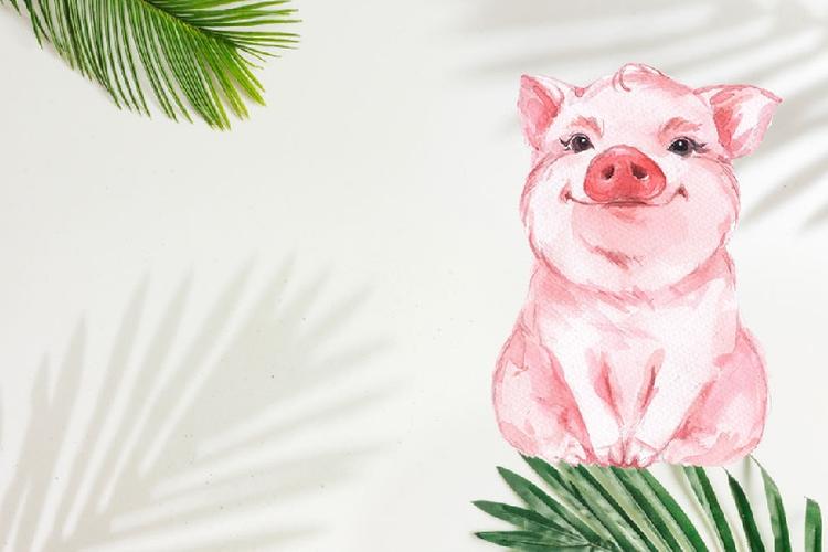 Tháng 3 âm 2 con giáp bước vào thời kỳ hoàng kim, tiền nong rủng rỉnh, 1 con giáp thận trọng - Ảnh 2.