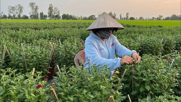 Ông bà dạy: Nhà có 5 dấu hiệu này chứng tỏ tích tụ may mắn, làm gì cũng có lộc, tuyệt đối đừng bán - Ảnh 2.