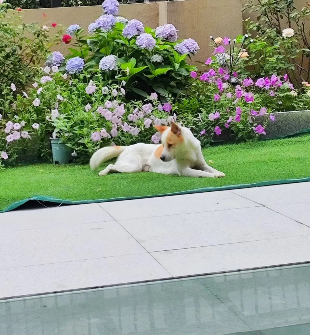 Tôi mua căn hộ tầng trệt có tầng hầm vì tưởng “lời gấp đôi” - 2 năm sau muốn bán lỗ cũng không ai mua - Ảnh 7.