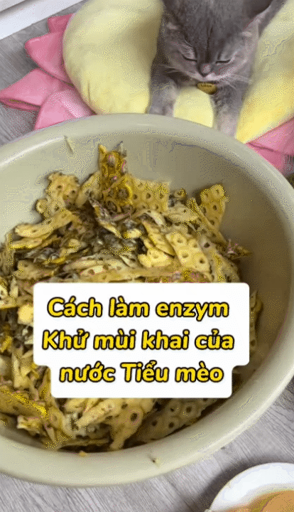 Từ bỏ lương cao để khởi nghiệp cùng Lượm Cat: Hành trình truyền cảm hứng cho mẹ bỉm 26 tuổi - Ảnh 7.