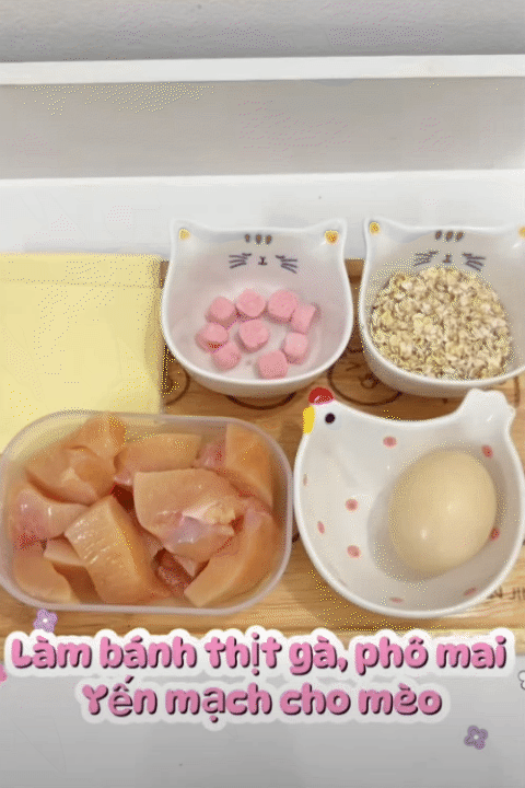 Từ bỏ lương cao để khởi nghiệp cùng Lượm Cat: Hành trình truyền cảm hứng cho mẹ bỉm 26 tuổi - Ảnh 13.