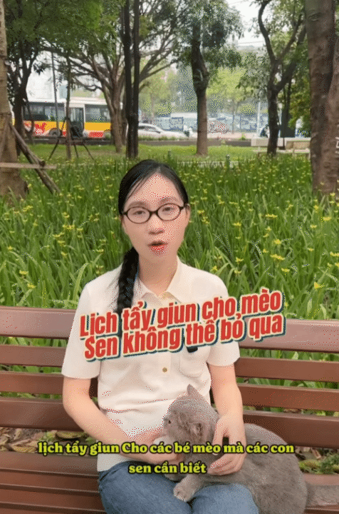 Từ bỏ lương cao để khởi nghiệp cùng Lượm Cat: Hành trình truyền cảm hứng cho mẹ bỉm 26 tuổi - Ảnh 10.
