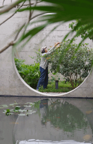 Tôi chi 2 tỷ xây nhà 680m² cho bố mẹ ở quê và nhận ra: Tiền không đặt đúng chỗ thì càng để càng tốn- Ảnh 20.
