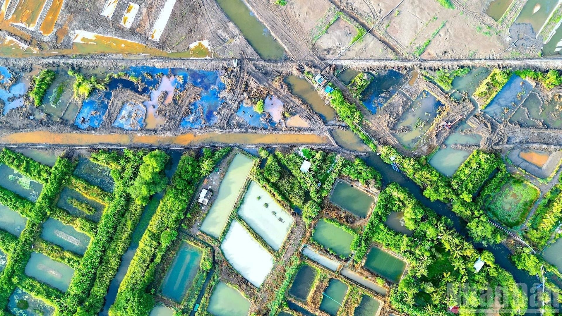 Thi công sân bay làm cá chết hàng loạt: Lãnh đạo Cà Mau yêu cầu ACV đền bù cho người dân- Ảnh 3.