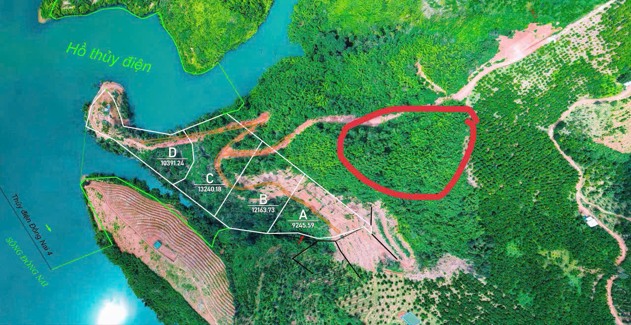 Gỡ nút thắt sổ đỏ cho đất giấy tay giai đoạn 2014 - 2024 - Ảnh 3.