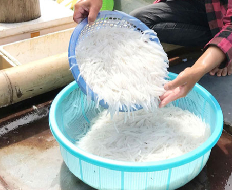 "Ngọc trong nước" độc nhất ở sông Đà, cực bổ dưỡng người già và trẻ nhỏ đều thích - Ảnh 2.