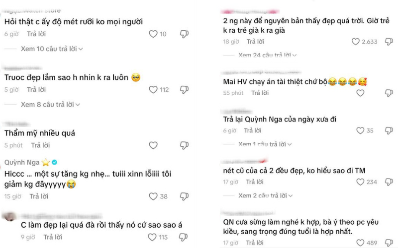 Khán giả hoang mang với Việt Anh và Quỳnh Nga hiện tại- Ảnh 4.