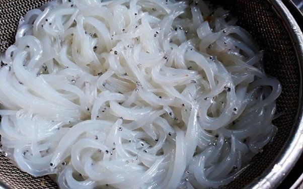 "Ngọc trong nước" độc nhất ở sông Đà, cực bổ dưỡng người già và trẻ nhỏ đều thích - Ảnh 7.