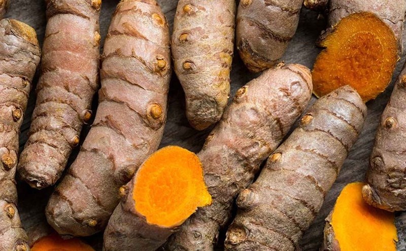 Lời khuyên dành cho những gia đình đang trồng nghệ - Ảnh 1.