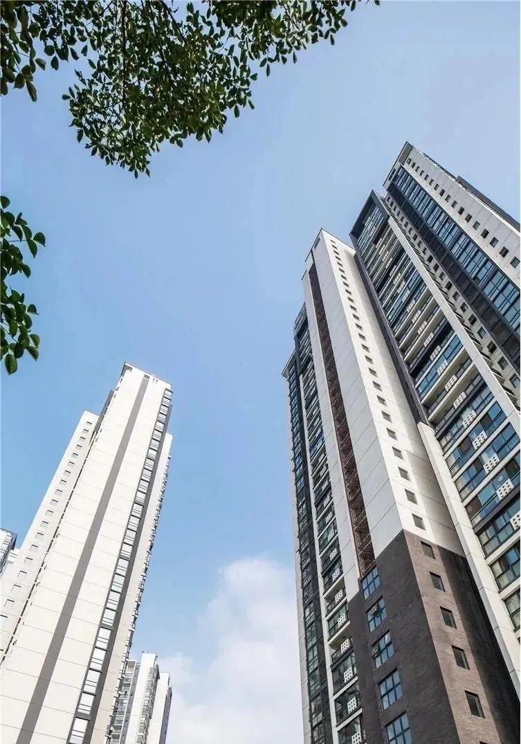Tôi từng từ chối mua căn hộ tầng cao, 3 năm sau nhìn lại, đó là quyết định giúp gia đình tôi tránh được hàng loạt rủi ro - Ảnh 1.
