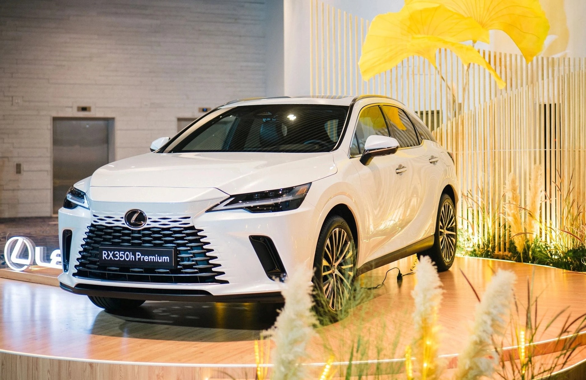 Hết gặp khó ở châu Á, Toyota, Honda, Mazda lại đối mặt với một 'bài kiểm tra sống còn' ở một thị trường từng 'làm mưa làm gió' một thời - Ảnh 3.