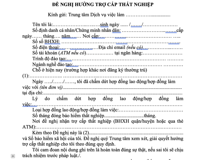 Hồ sơ hưởng trợ cấp thất nghiệp 2026 có gì mới? - Ảnh 3.
