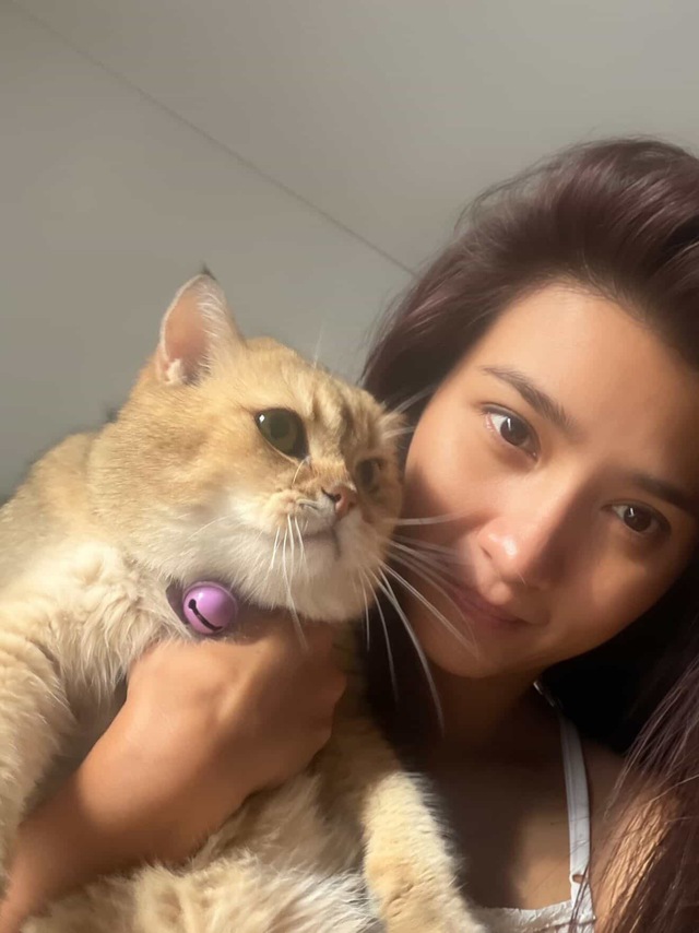 Chùm ảnh hiếm về mặt thật của mỹ nhân Kim Tuyến được tiết lộ trong nhóm chat với người thân cận- Ảnh 8.
