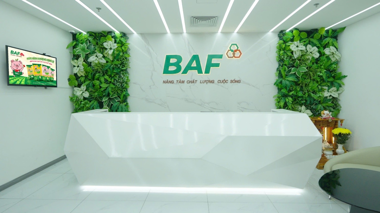 Baf Việt Nam thâu tóm thêm doanh nghiệp chăn nuôi tại Quảng Trị- Ảnh 1.