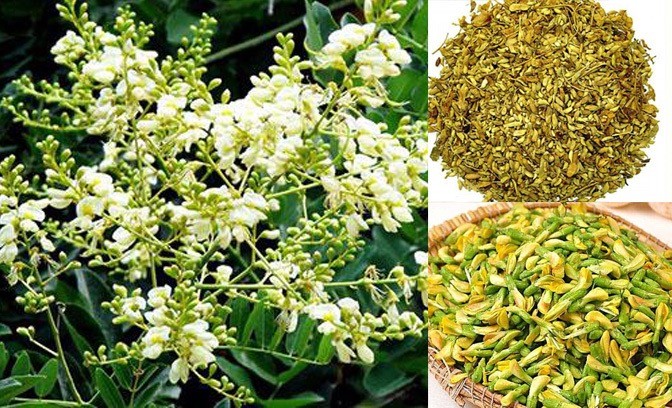 10 loại rau này đem phơi khô còn thơm hơn cả thịt: Bạn đã biết cách phơi khô bao nhiêu loại rồi? - Ảnh 9.