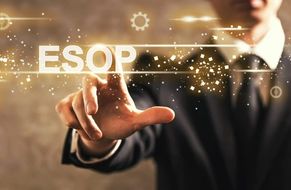REE muốn phát hành ESOP - Ảnh 1.
