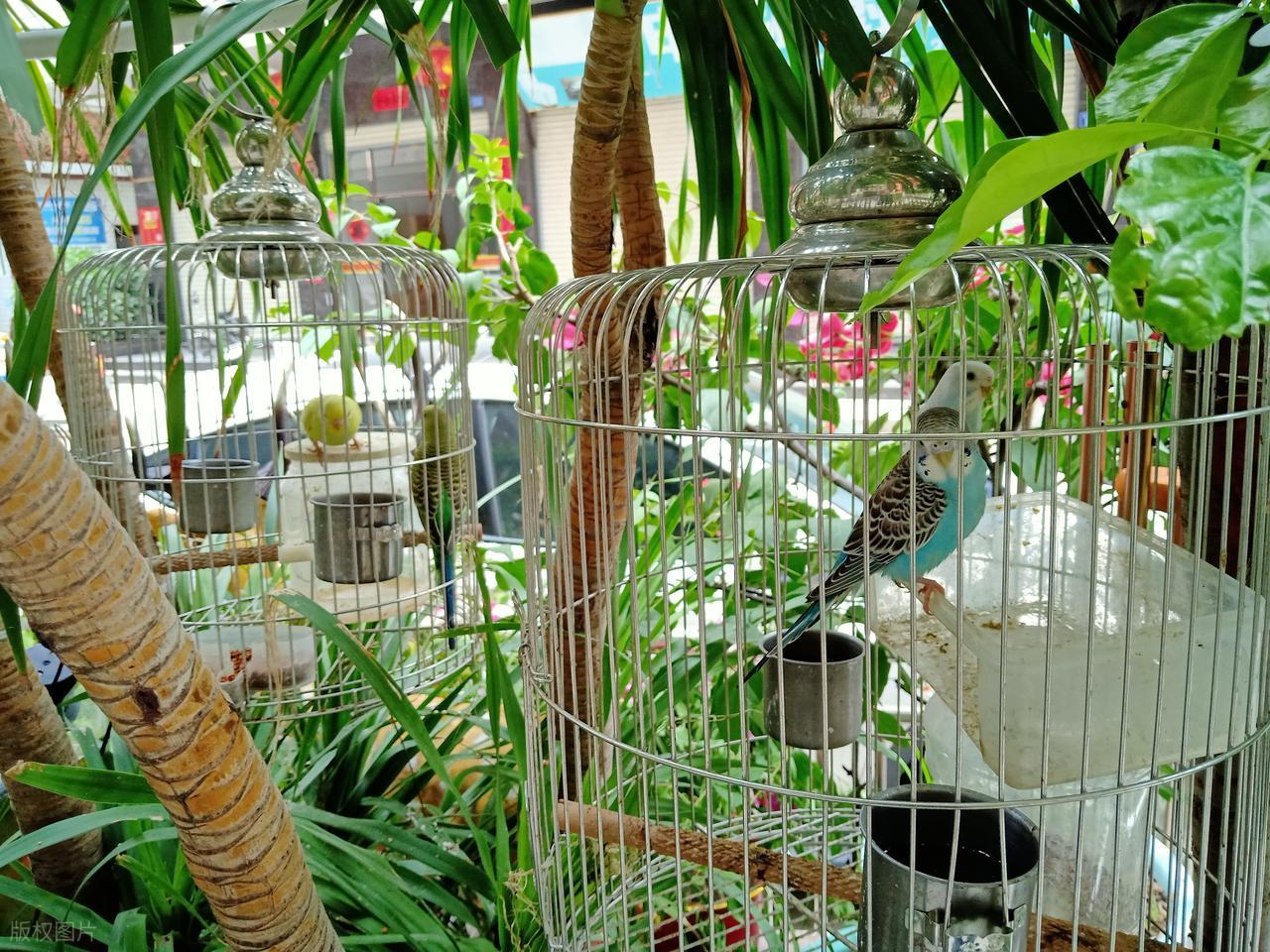 Từ chối xu hướng xây kín ban công, người phụ nữ biến khoảng không ngoài trời thành góc thư giãn khiến ai cũng muốn học theo - Ảnh 5.