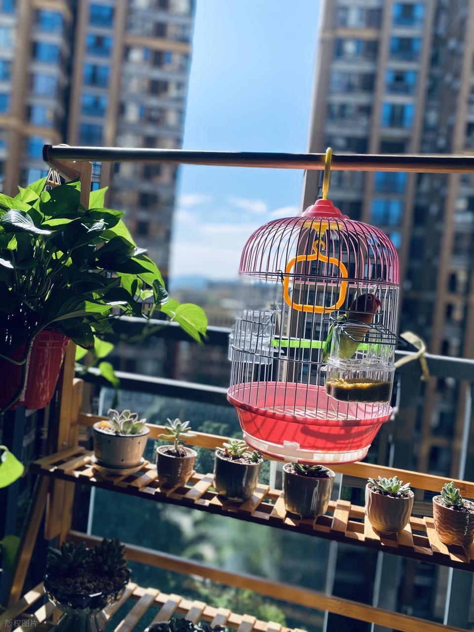 Từ chối xu hướng xây kín ban công, người phụ nữ biến khoảng không ngoài trời thành góc thư giãn khiến ai cũng muốn học theo - Ảnh 1.