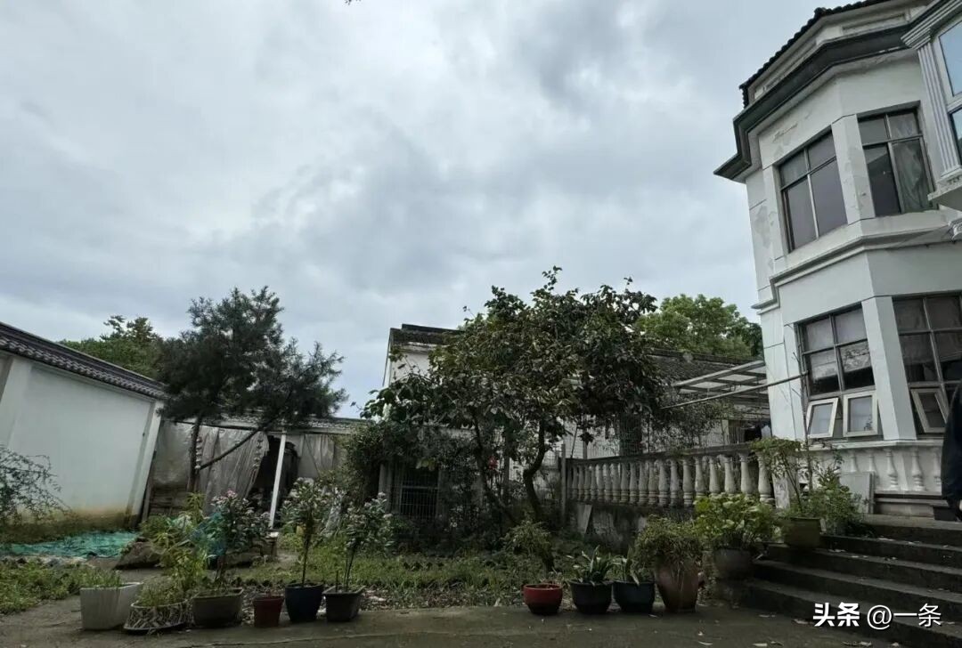 Vợ chồng giáo viên về quê xây nhà 1.000m² thành nơi chung sống 3 thế hệ: Mẹ chồng ban đầu phản đối cuối cùng lại hài lòng nhất - Ảnh 1.