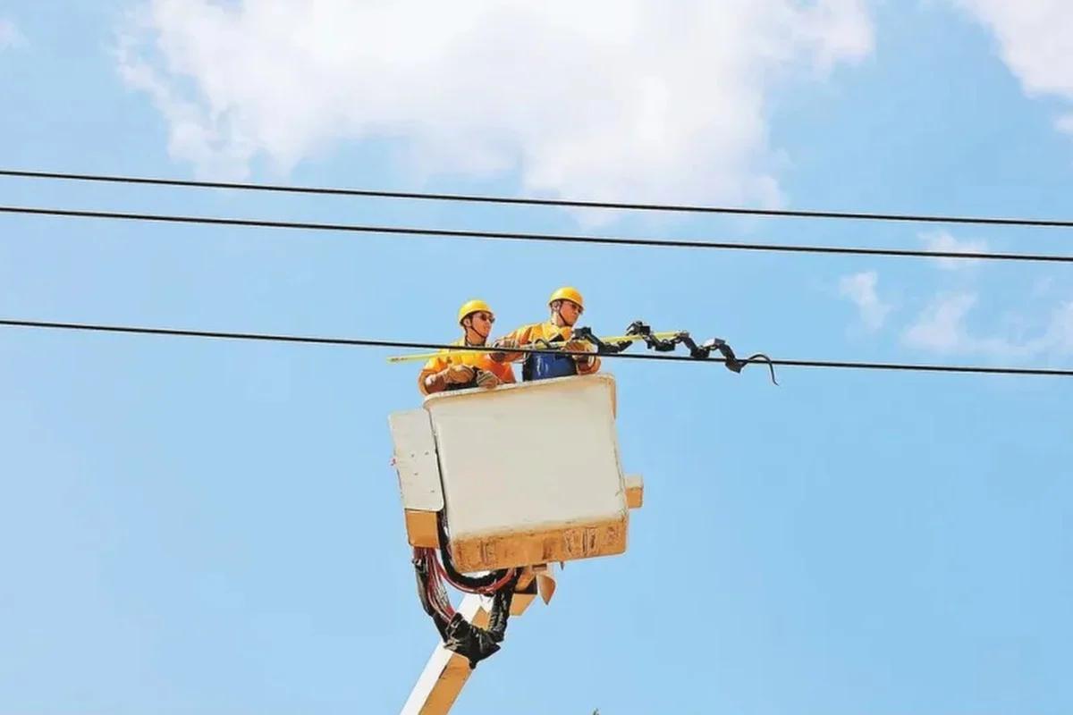 Phát hiện vật thể nhìn như rắn quấn quanh đường dây điện của Trung Quốc: "Thân phận" thực sự gây bất ngờ- Ảnh 2.