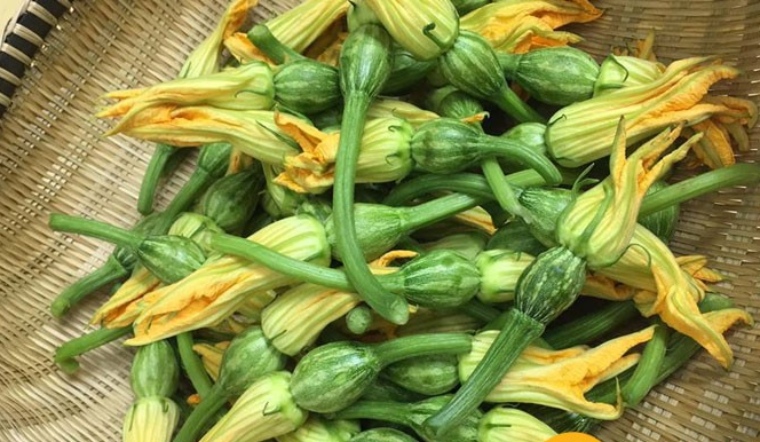 Loài hoa vàng ươm nấu với sấu được nồi canh thanh mát, là "suối nguồn" vitamin giúp chống nắng nội sinh, làm sạch lá gan- Ảnh 1.