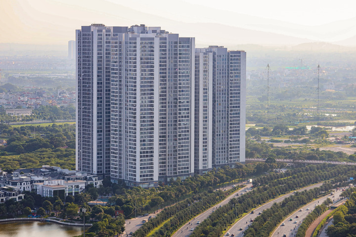 Phát triển nhà cho thuê, giá bất động sản có hạ nhiệt?- Ảnh 4.