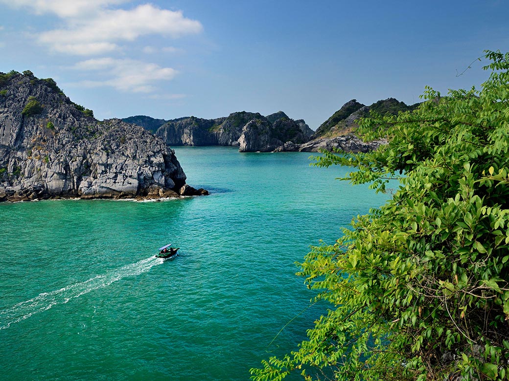Cảnh tượng ở vịnh Lan Hạ, Cát Bà khiến nhiều người bất ngờ, thốt lên: Không tin vào mắt mình - Ảnh 3.