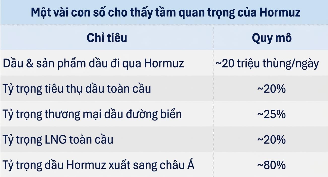 Eo biển Hormuz và bài toán dự trữ năng lượng cho Việt Nam - Ảnh 1. Eo biển Hormuz và bài toán dự trữ năng lượng cho Việt Nam - Ảnh 1.