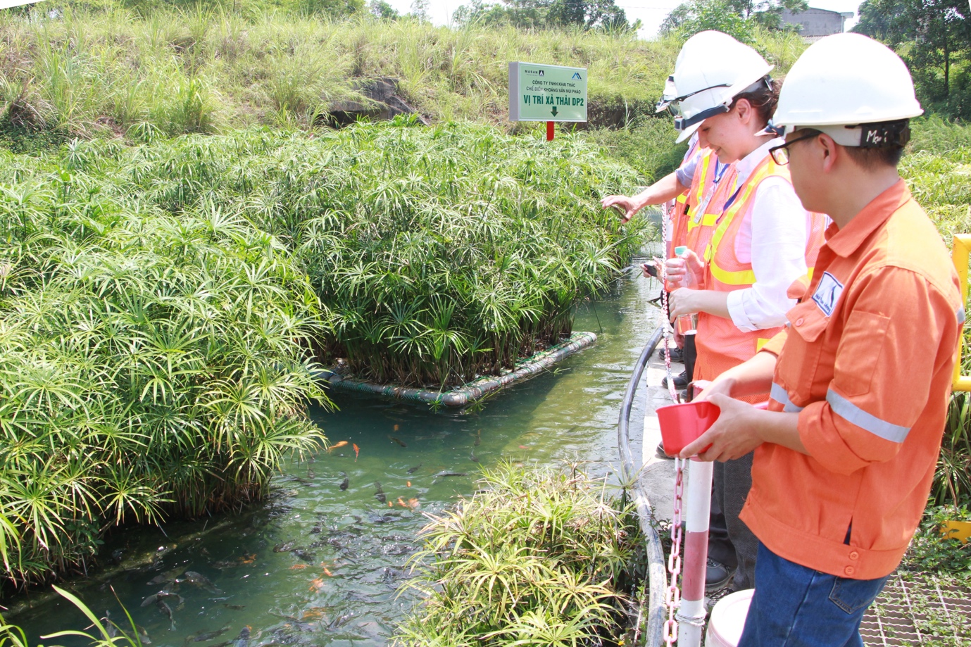 Masan tiếp tục ghi danh Top50 Doanh Nghiệp Phát triển bền vững tiêu biểu - Ảnh 4.