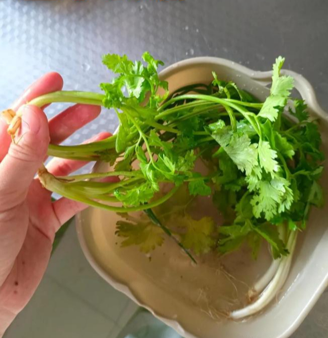 Trí tuệ của thế hệ đi trước thật đáng nể: 8 mẹo sống đơn giản nhưng giúp tiết kiệm tiền, thời gian và công sức - Ảnh 4.