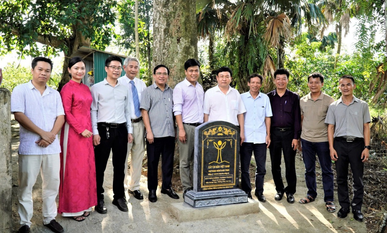 Hai cây gỗ quý hơn 200 tuổi ở Việt Nam: Được trả 100 tỷ vẫn không bán, cả làng thay nhau canh giữ - Ảnh 4.