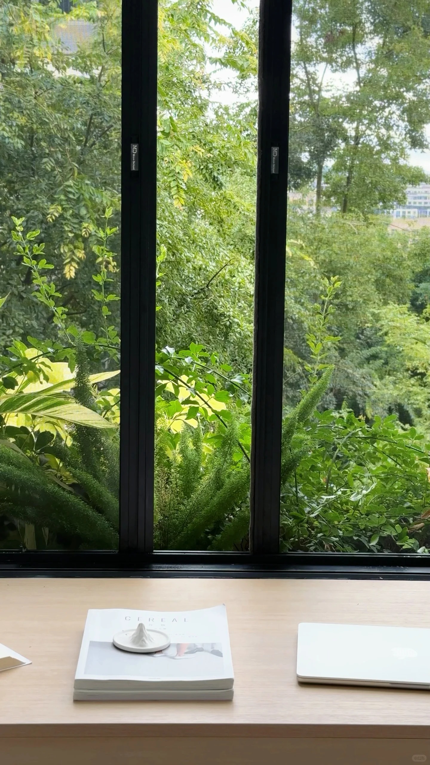 8 năm không đi làm vẫn mua được căn nhà thứ 2, chi 2 tỷ đồng để cải tạo và sống như mơ ước tuổi 18 - Ảnh 3.